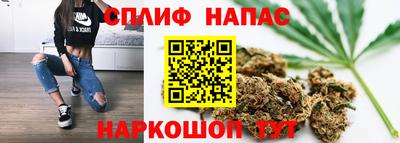 спиды Кингисепп