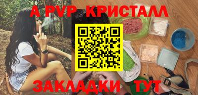 спиды Кингисепп