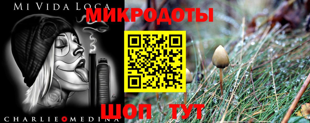 Галлюциногенные грибы Psilocybe  Вход с VPN  Коркино 